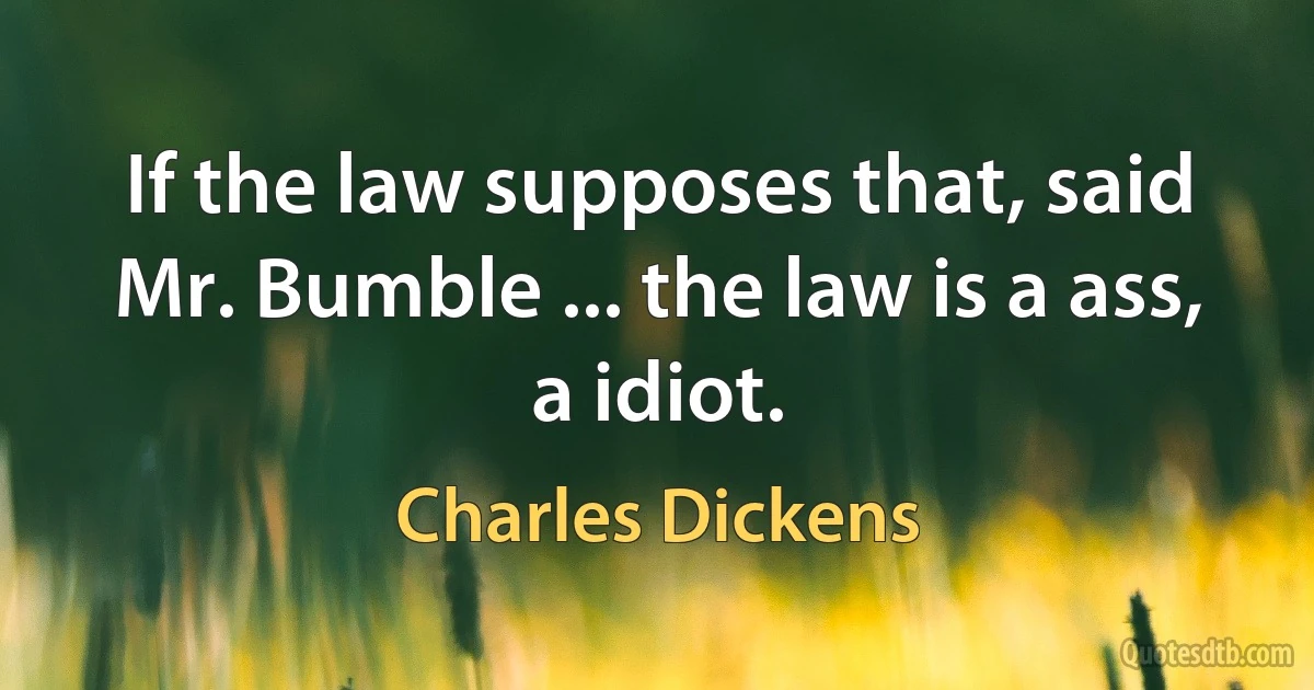 If the law supposes that, said Mr. Bumble ... the law is a ass, a idiot. (Charles Dickens)