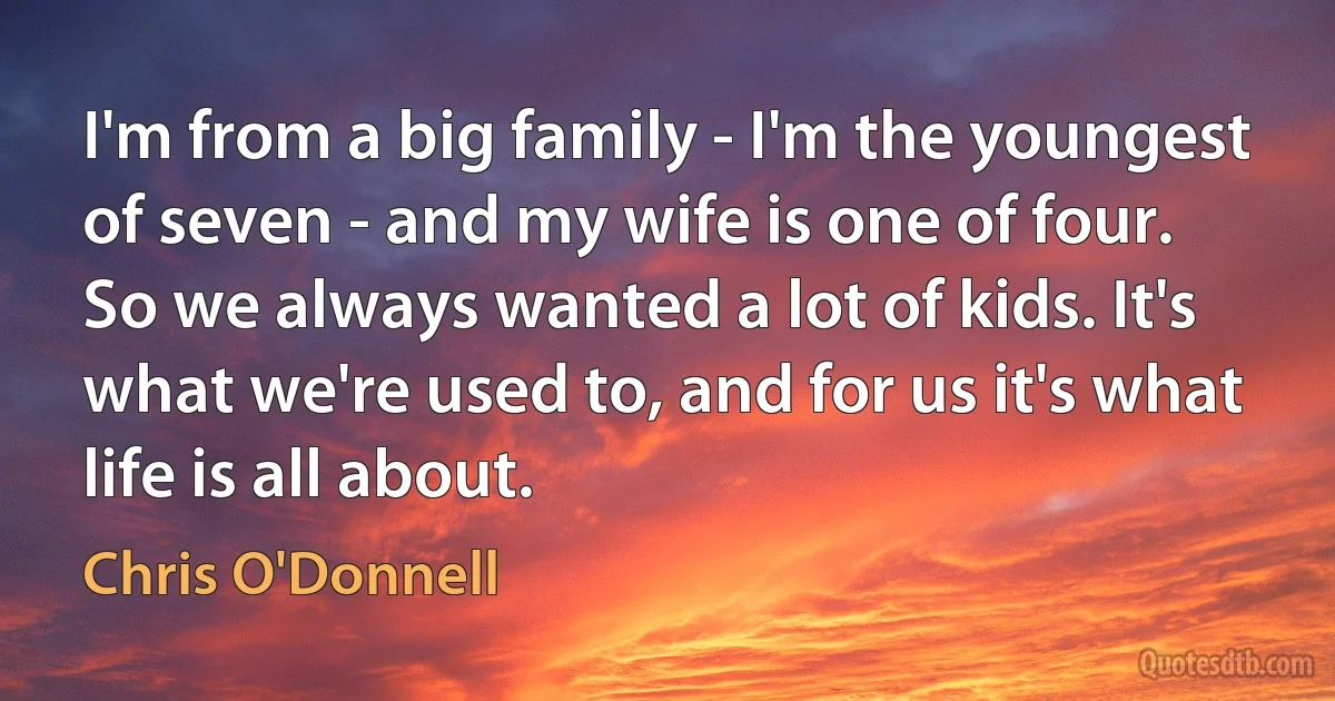 I'm from a big family - I'm the youngest of seven - and my wife is one of four. So we always wanted a lot of kids. It's what we're used to, and for us it's what life is all about. (Chris O'Donnell)