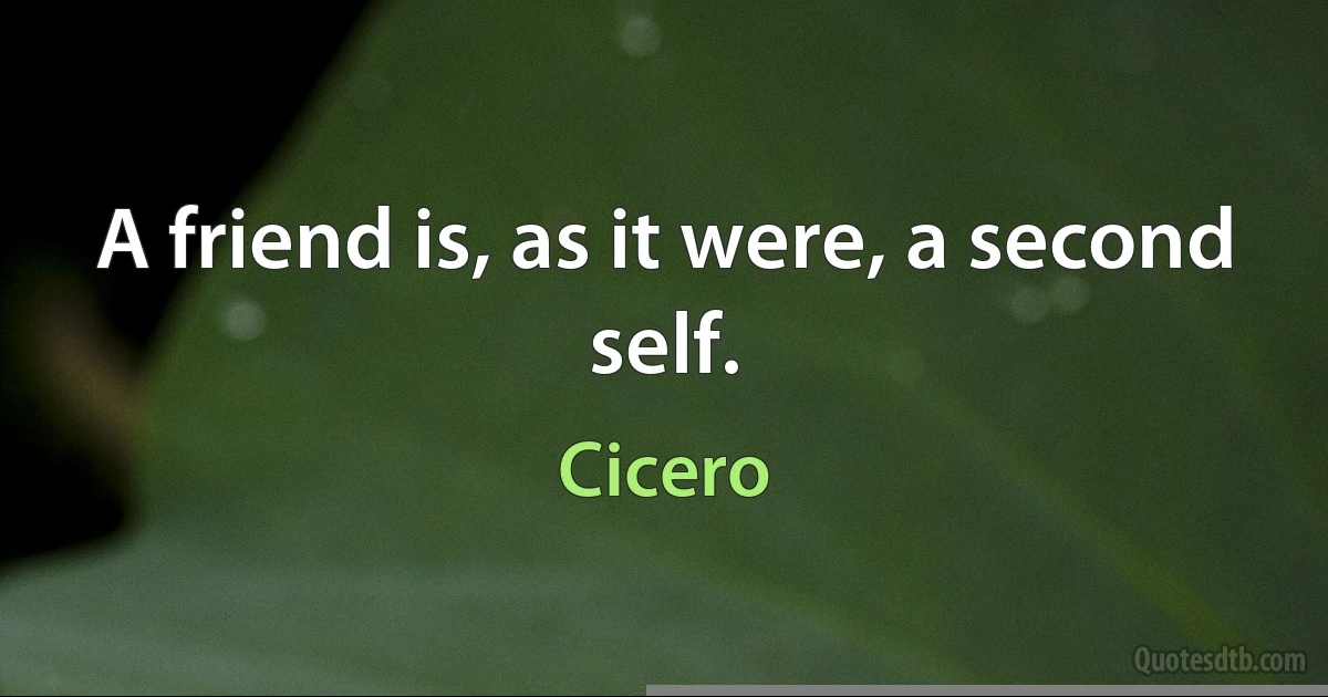 A friend is, as it were, a second self. (Cicero)