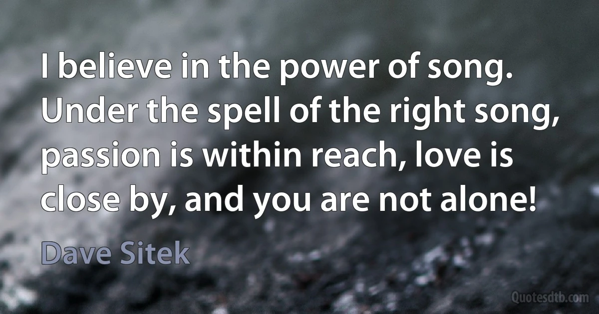 I believe in the power of song. Under the spell of the right song, passion is within reach, love is close by, and you are not alone! (Dave Sitek)