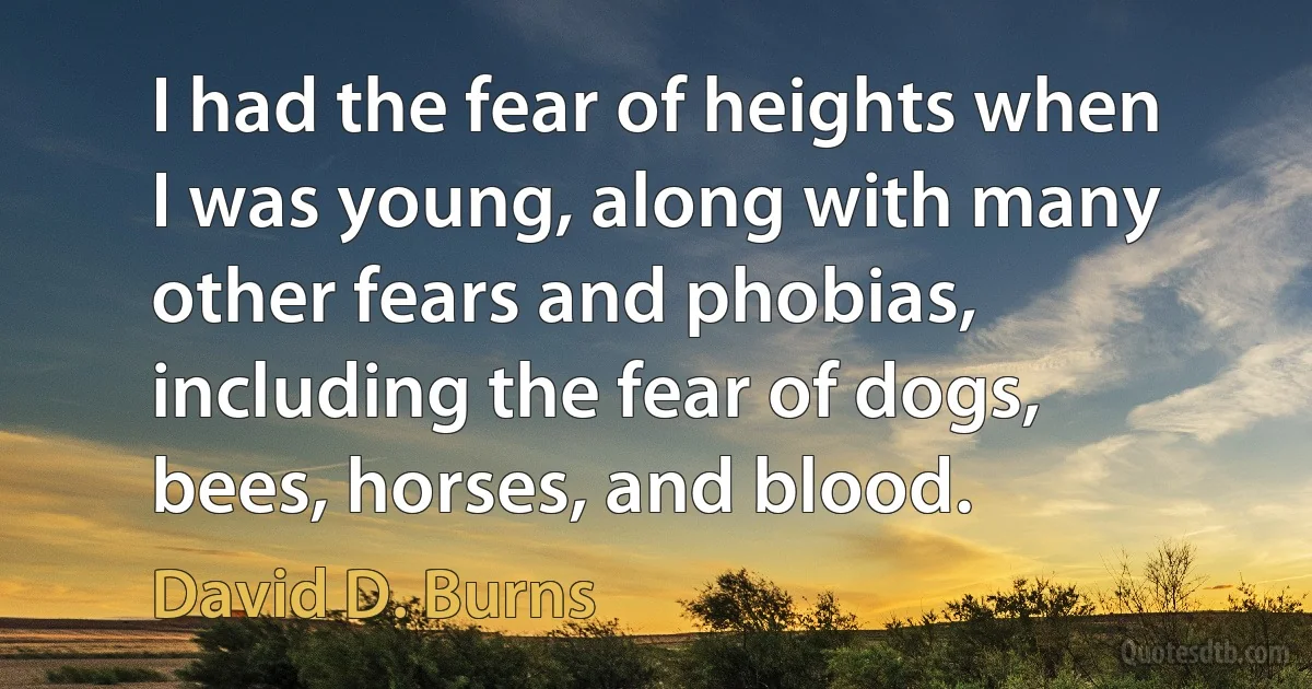 I had the fear of heights when I was young, along with many other fears and phobias, including the fear of dogs, bees, horses, and blood. (David D. Burns)