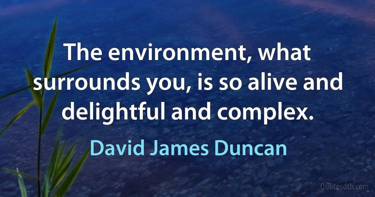 The environment, what surrounds you, is so alive and delightful and complex. (David James Duncan)