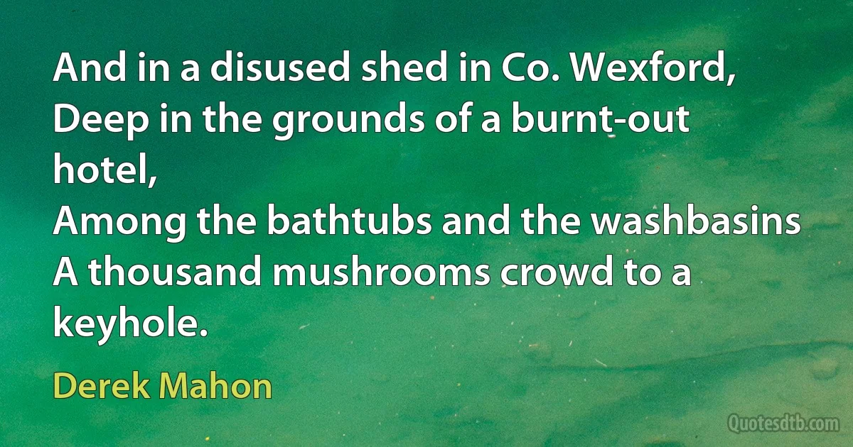 And in a disused shed in Co. Wexford,
Deep in the grounds of a burnt-out hotel,
Among the bathtubs and the washbasins
A thousand mushrooms crowd to a keyhole. (Derek Mahon)