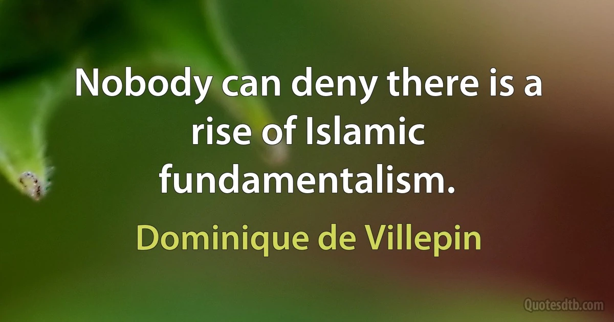 Nobody can deny there is a rise of Islamic fundamentalism. (Dominique de Villepin)