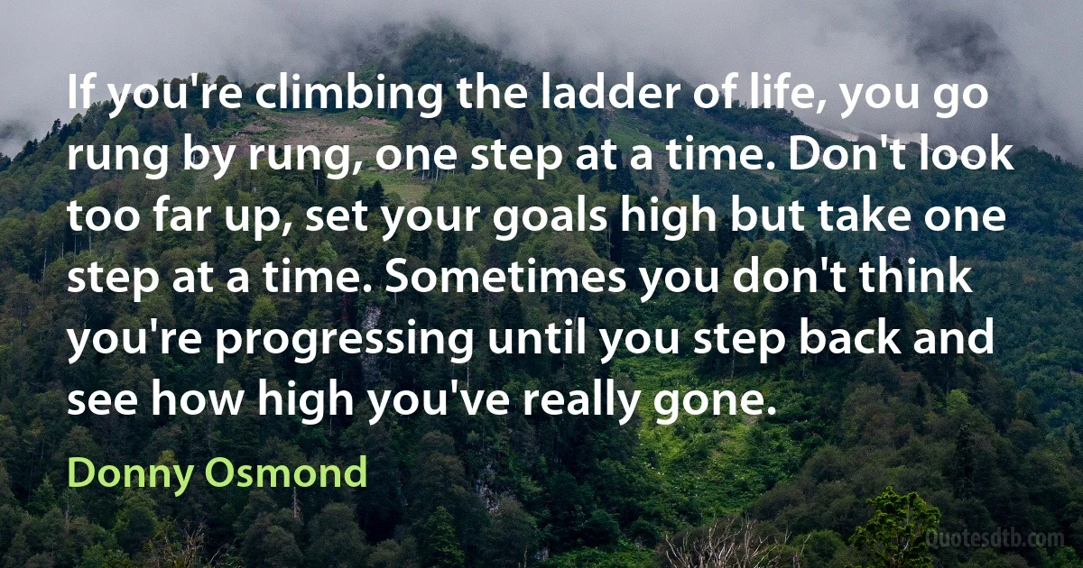 If you're climbing the ladder of life, you go rung by rung, one step at a time. Don't look too far up, set your goals high but take one step at a time. Sometimes you don't think you're progressing until you step back and see how high you've really gone. (Donny Osmond)