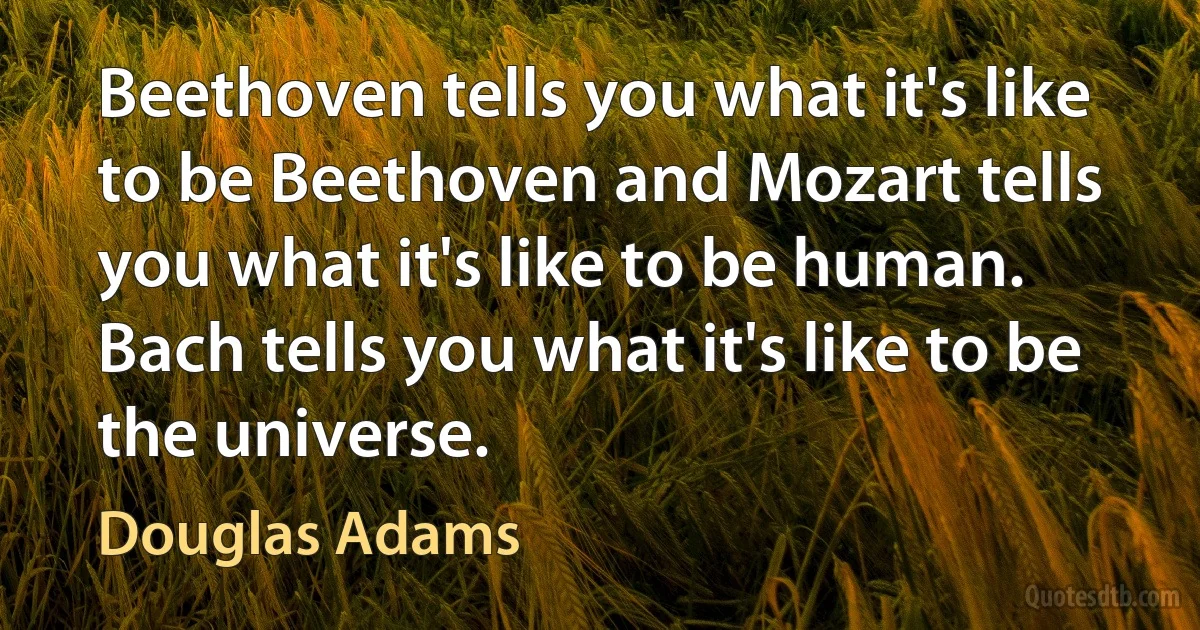 Beethoven tells you what it's like to be Beethoven and Mozart tells you what it's like to be human. Bach tells you what it's like to be the universe. (Douglas Adams)