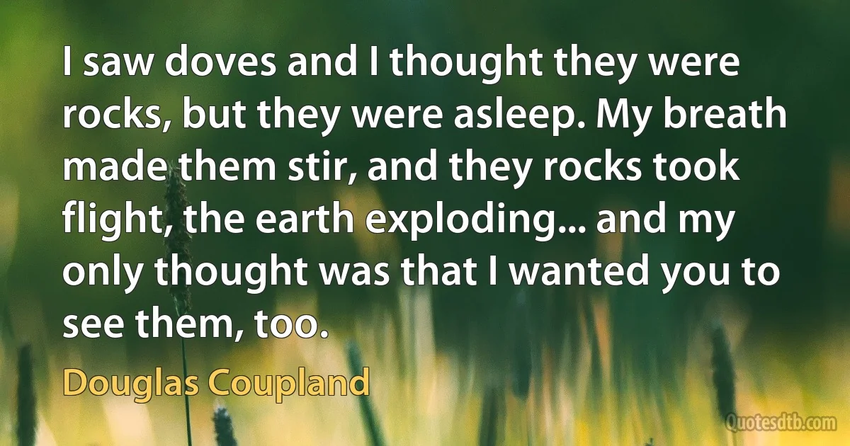 I saw doves and I thought they were rocks, but they were asleep. My breath made them stir, and they rocks took flight, the earth exploding... and my only thought was that I wanted you to see them, too. (Douglas Coupland)