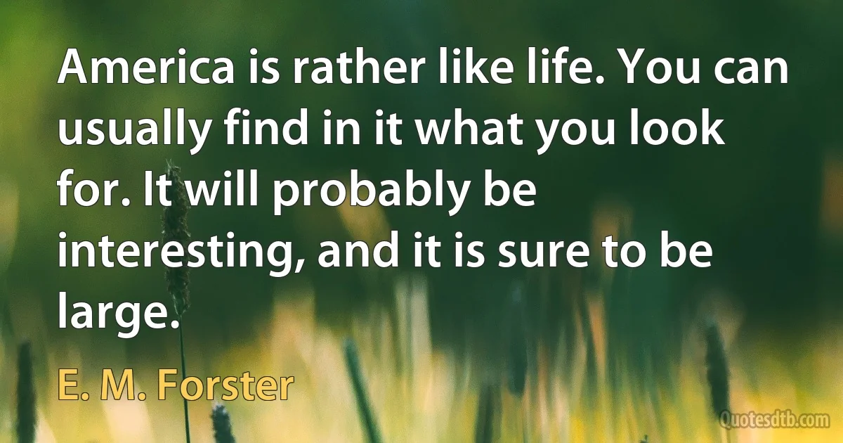 America is rather like life. You can usually find in it what you look for. It will probably be interesting, and it is sure to be large. (E. M. Forster)