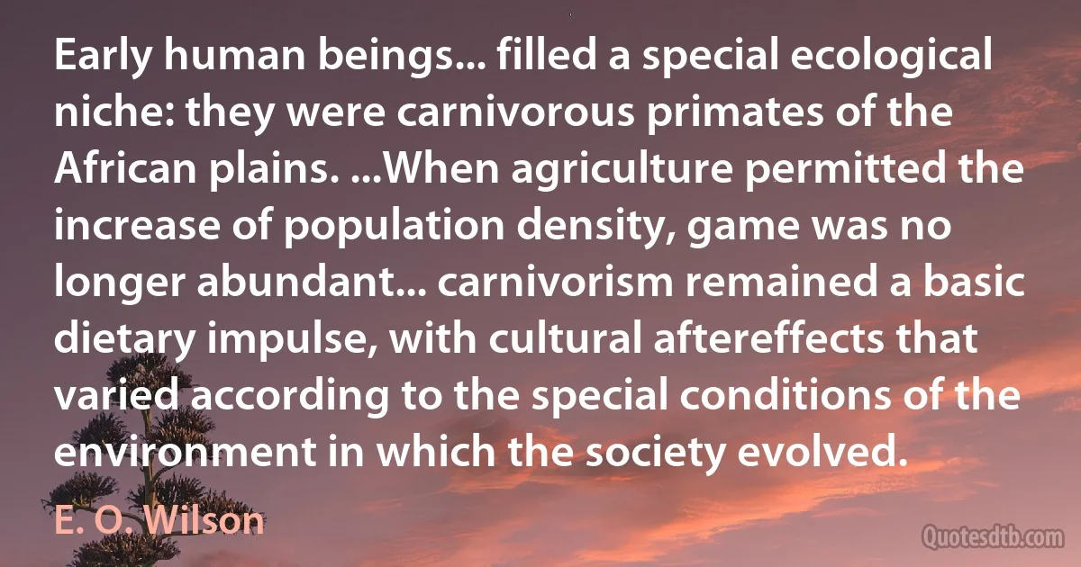 Early human beings... filled a special ecological niche: they were carnivorous primates of the African plains. ...When agriculture permitted the increase of population density, game was no longer abundant... carnivorism remained a basic dietary impulse, with cultural aftereffects that varied according to the special conditions of the environment in which the society evolved. (E. O. Wilson)