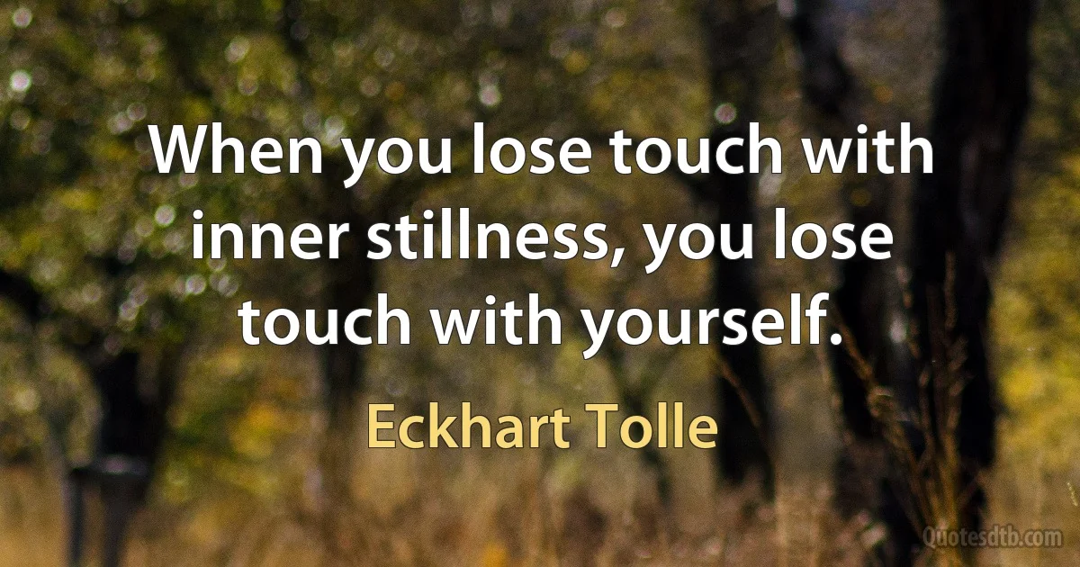 When you lose touch with inner stillness, you lose touch with yourself. (Eckhart Tolle)