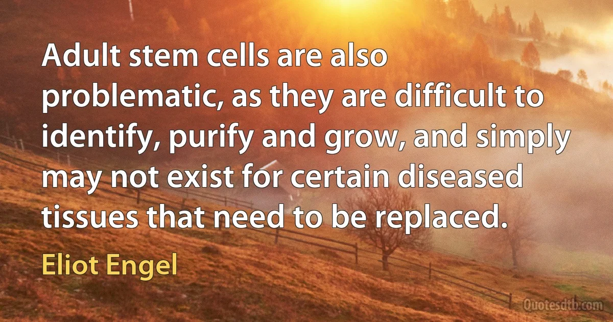 Adult stem cells are also problematic, as they are difficult to identify, purify and grow, and simply may not exist for certain diseased tissues that need to be replaced. (Eliot Engel)