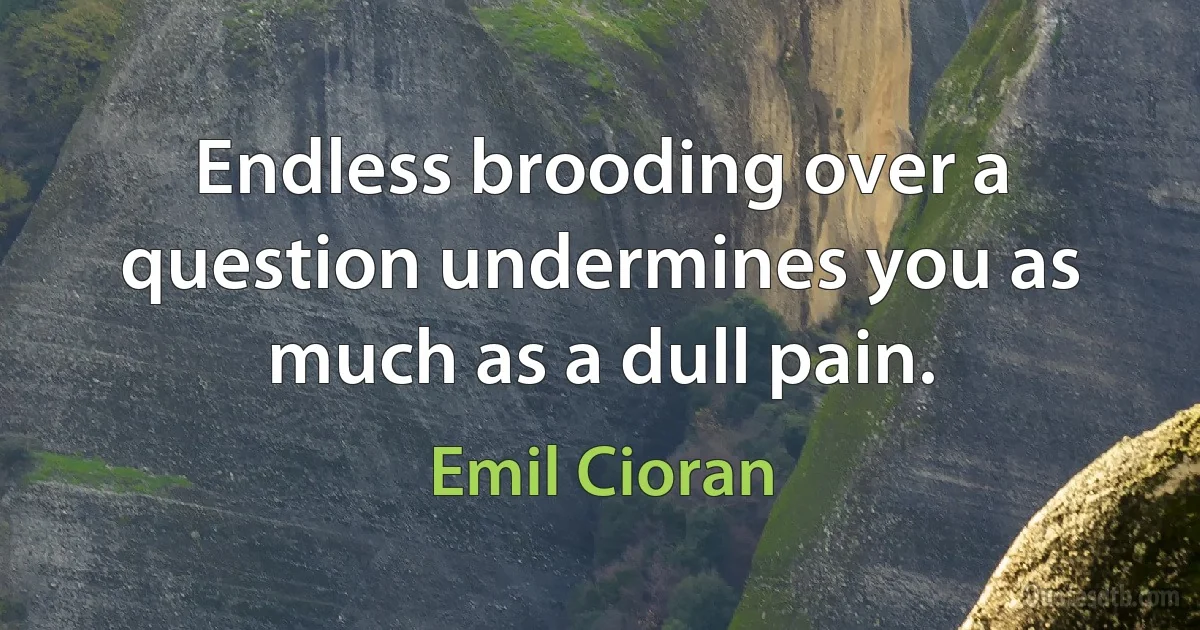 Endless brooding over a question undermines you as much as a dull pain. (Emil Cioran)