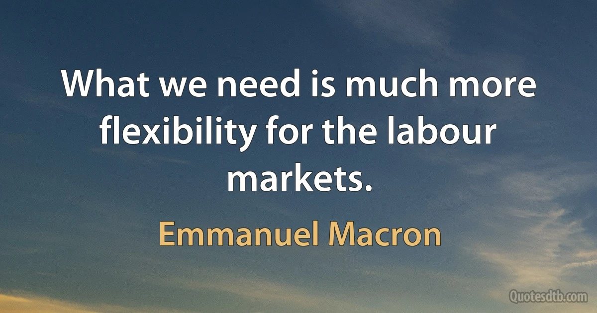 What we need is much more flexibility for the labour markets. (Emmanuel Macron)