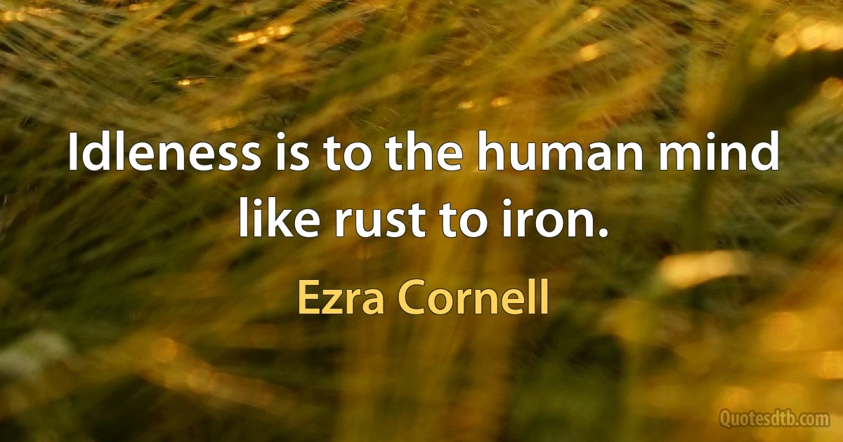 Idleness is to the human mind like rust to iron. (Ezra Cornell)