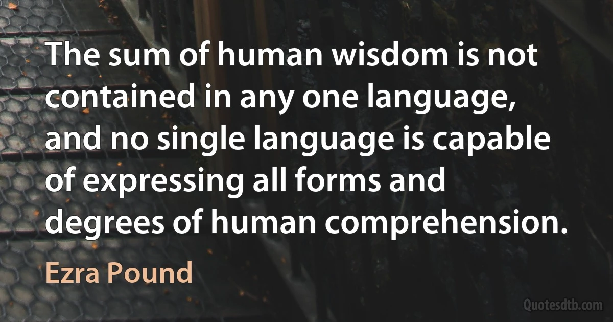 The sum of human wisdom is not contained in any one language, and no single language is capable of expressing all forms and degrees of human comprehension. (Ezra Pound)