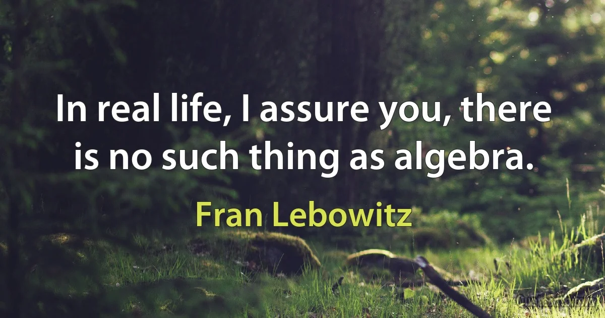 In real life, I assure you, there is no such thing as algebra. (Fran Lebowitz)