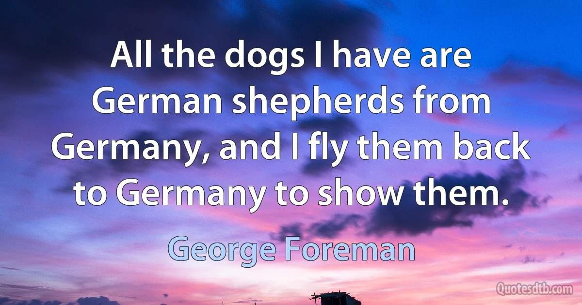 All the dogs I have are German shepherds from Germany, and I fly them back to Germany to show them. (George Foreman)