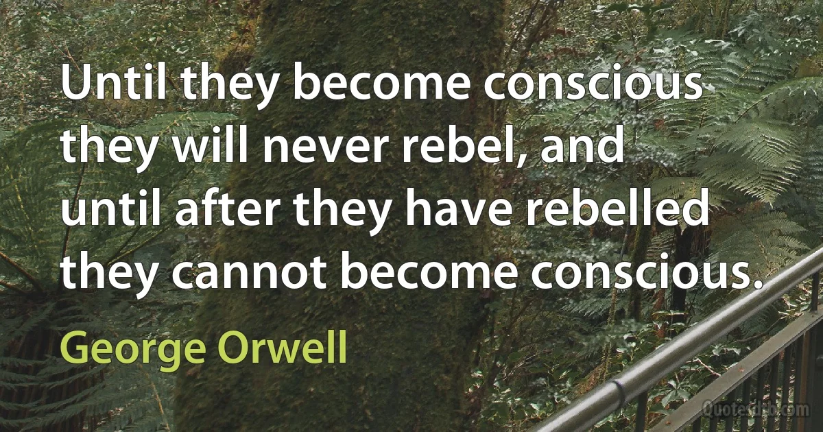 Until they become conscious they will never rebel, and until after they have rebelled they cannot become conscious. (George Orwell)