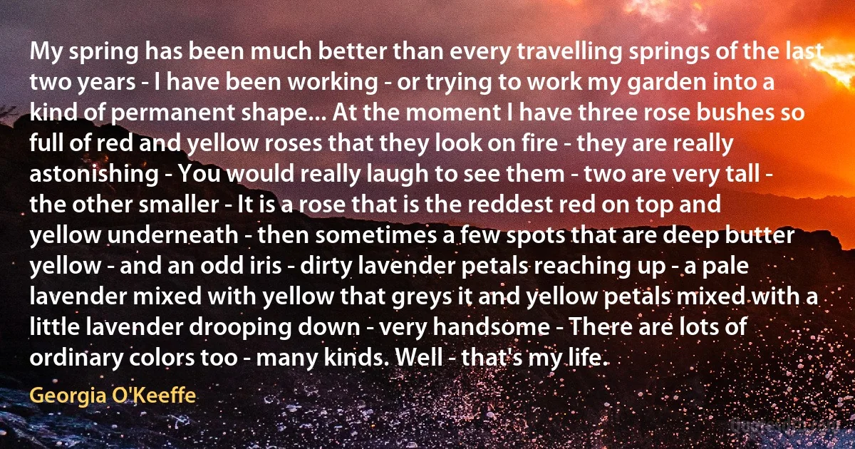My spring has been much better than every travelling springs of the last two years - I have been working - or trying to work my garden into a kind of permanent shape... At the moment I have three rose bushes so full of red and yellow roses that they look on fire - they are really astonishing - You would really laugh to see them - two are very tall - the other smaller - It is a rose that is the reddest red on top and yellow underneath - then sometimes a few spots that are deep butter yellow - and an odd iris - dirty lavender petals reaching up - a pale lavender mixed with yellow that greys it and yellow petals mixed with a little lavender drooping down - very handsome - There are lots of ordinary colors too - many kinds. Well - that's my life. (Georgia O'Keeffe)
