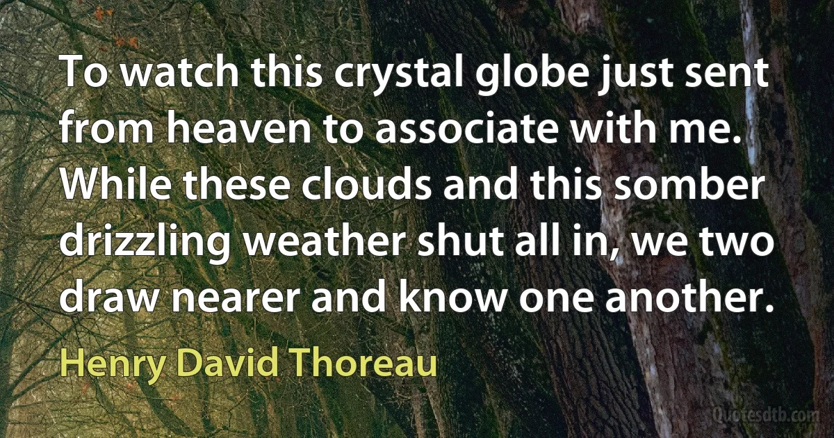 To watch this crystal globe just sent from heaven to associate with me. While these clouds and this somber drizzling weather shut all in, we two draw nearer and know one another. (Henry David Thoreau)