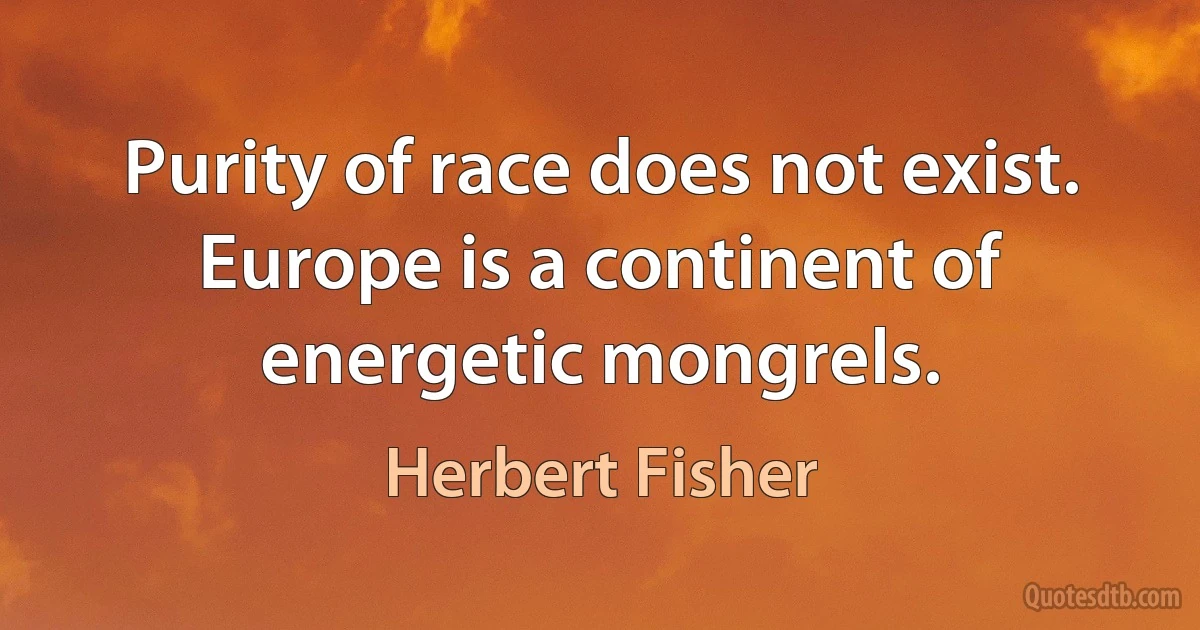 Purity of race does not exist. Europe is a continent of energetic mongrels. (Herbert Fisher)