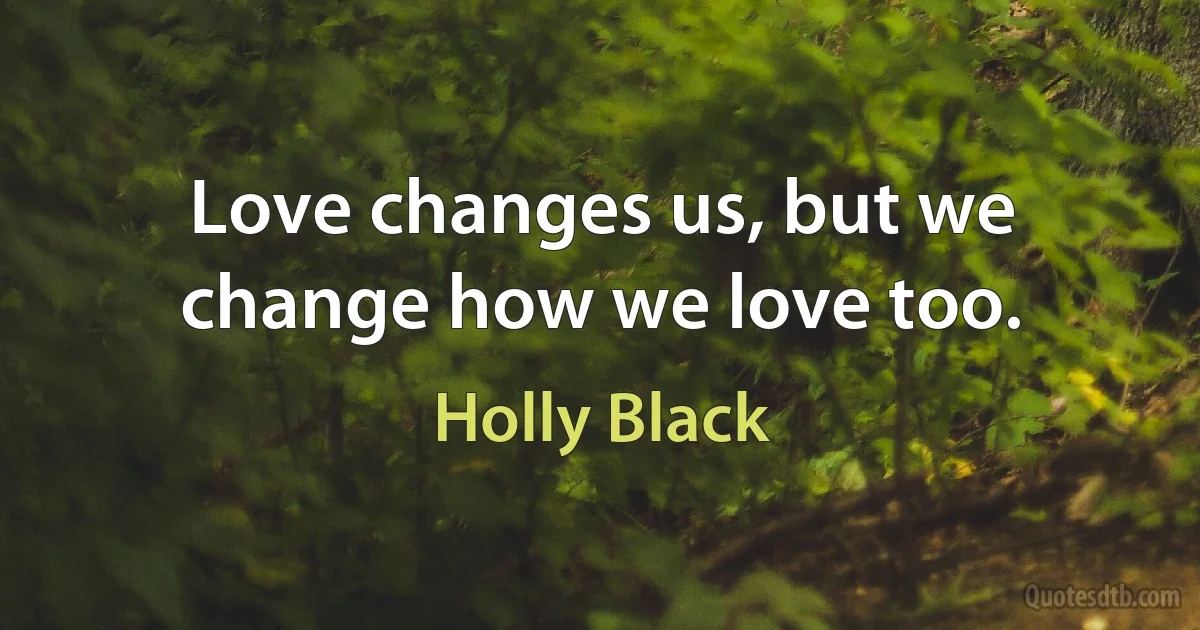 Love changes us, but we change how we love too. (Holly Black)