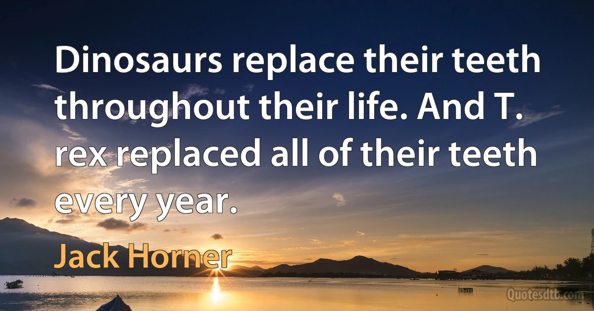 Dinosaurs replace their teeth throughout their life. And T. rex replaced all of their teeth every year. (Jack Horner)