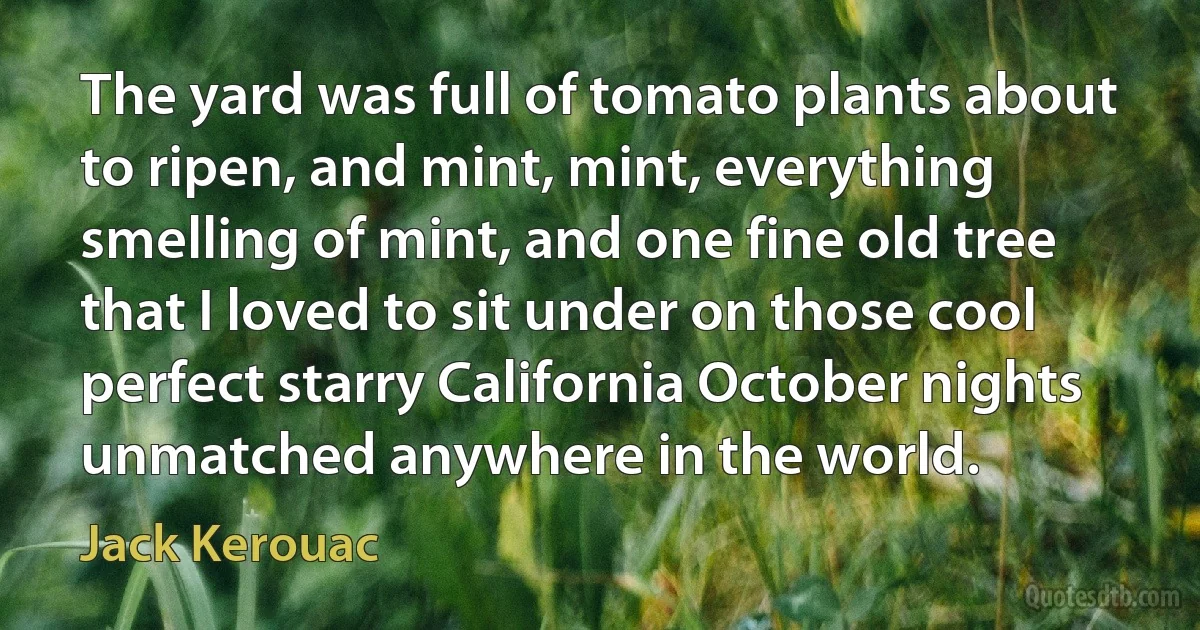 The yard was full of tomato plants about to ripen, and mint, mint, everything smelling of mint, and one fine old tree that I loved to sit under on those cool perfect starry California October nights unmatched anywhere in the world. (Jack Kerouac)