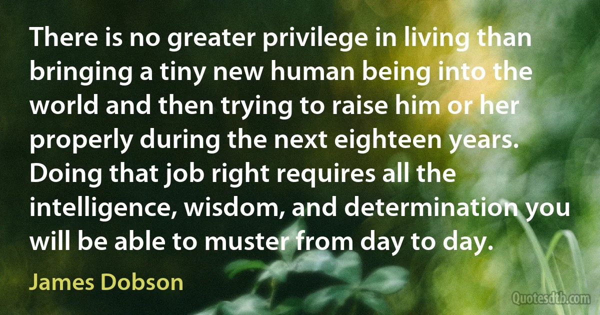 There is no greater privilege in living than bringing a tiny new human being into the world and then trying to raise him or her properly during the next eighteen years. Doing that job right requires all the intelligence, wisdom, and determination you will be able to muster from day to day. (James Dobson)