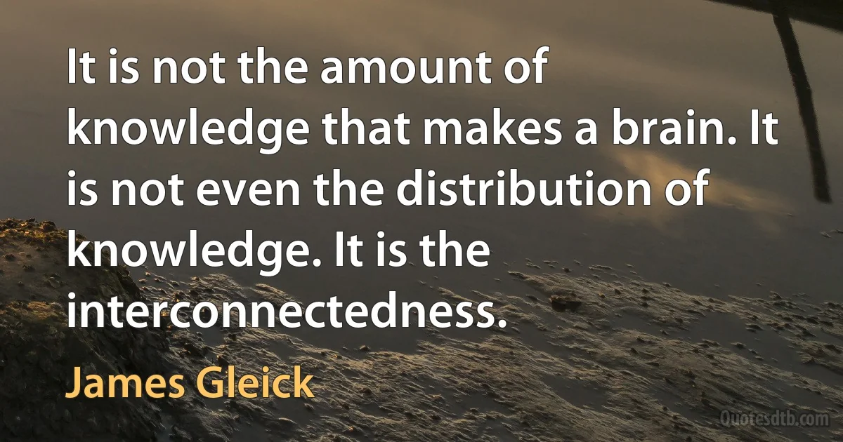 It is not the amount of knowledge that makes a brain. It is not even the distribution of knowledge. It is the interconnectedness. (James Gleick)