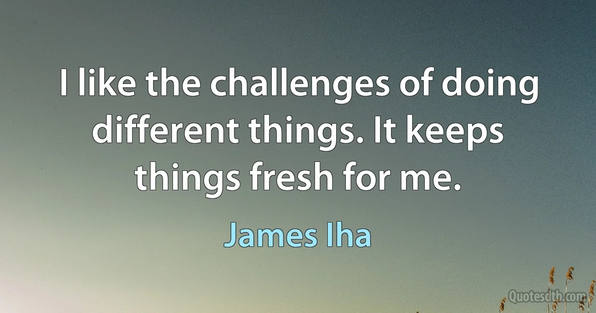 I like the challenges of doing different things. It keeps things fresh for me. (James Iha)