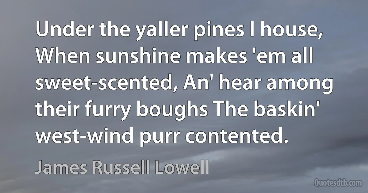 Under the yaller pines I house, When sunshine makes 'em all sweet-scented, An' hear among their furry boughs The baskin' west-wind purr contented. (James Russell Lowell)