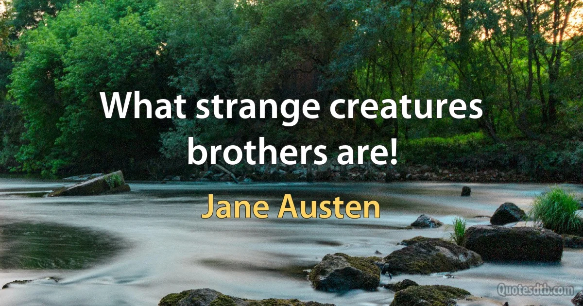 What strange creatures brothers are! (Jane Austen)