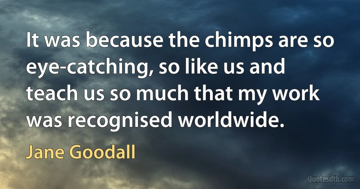 It was because the chimps are so eye-catching, so like us and teach us so much that my work was recognised worldwide. (Jane Goodall)