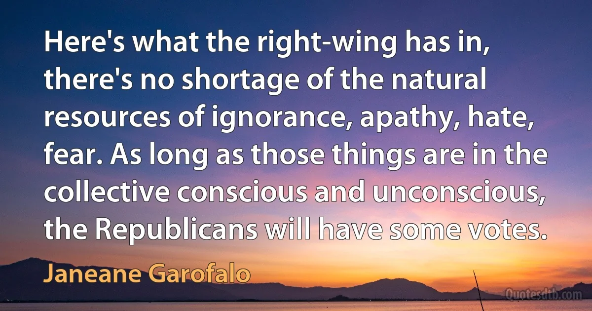 Here's what the right-wing has in, there's no shortage of the natural resources of ignorance, apathy, hate, fear. As long as those things are in the collective conscious and unconscious, the Republicans will have some votes. (Janeane Garofalo)