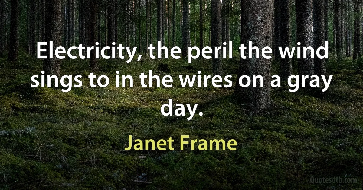 Electricity, the peril the wind sings to in the wires on a gray day. (Janet Frame)