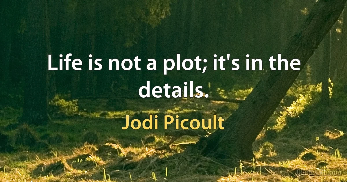 Life is not a plot; it's in the details. (Jodi Picoult)