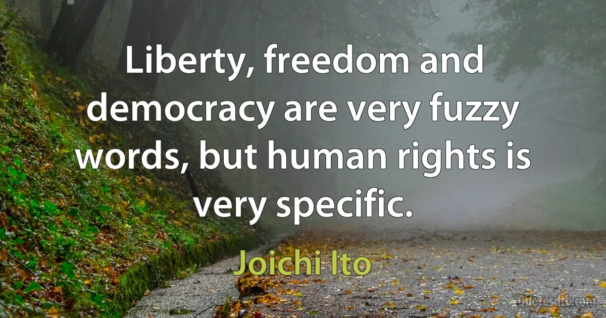 Liberty, freedom and democracy are very fuzzy words, but human rights is very specific. (Joichi Ito)