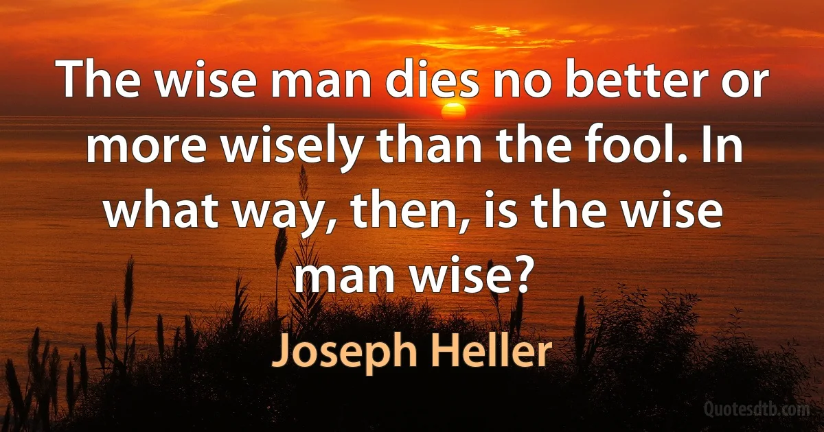 The wise man dies no better or more wisely than the fool. In what way, then, is the wise man wise? (Joseph Heller)