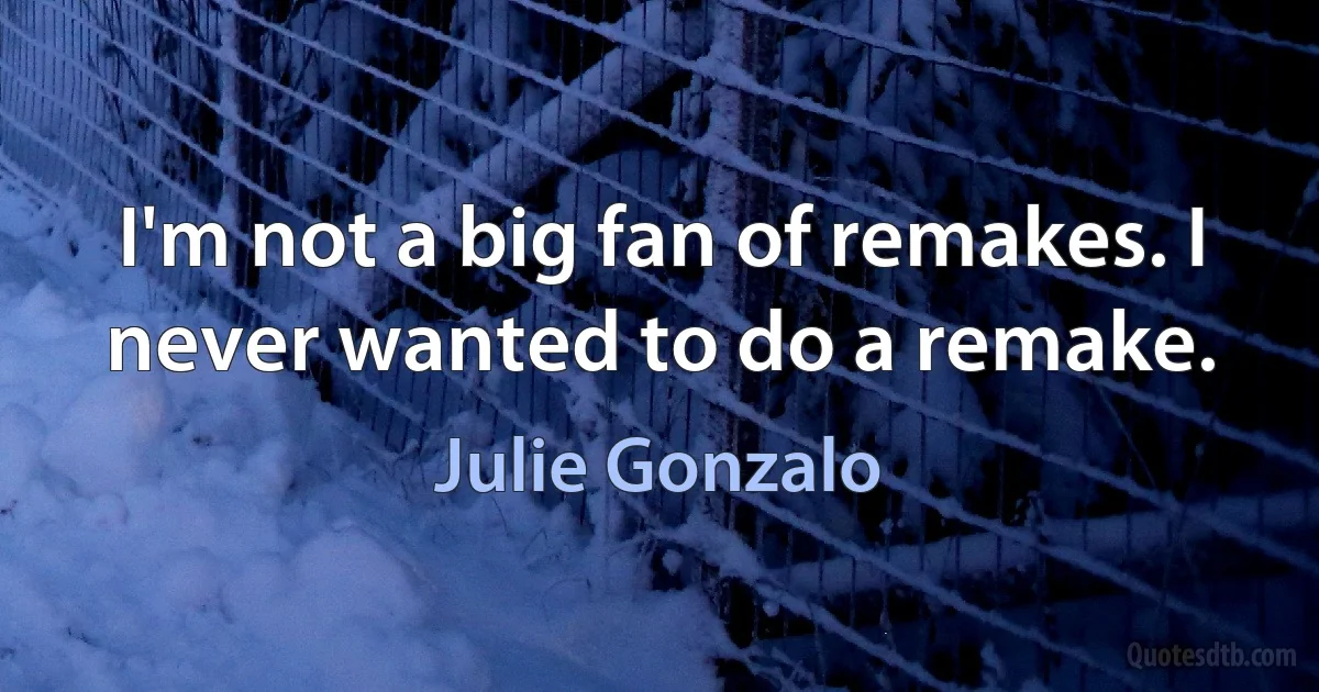 I'm not a big fan of remakes. I never wanted to do a remake. (Julie Gonzalo)