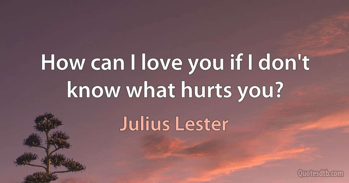 How can I love you if I don't know what hurts you? (Julius Lester)