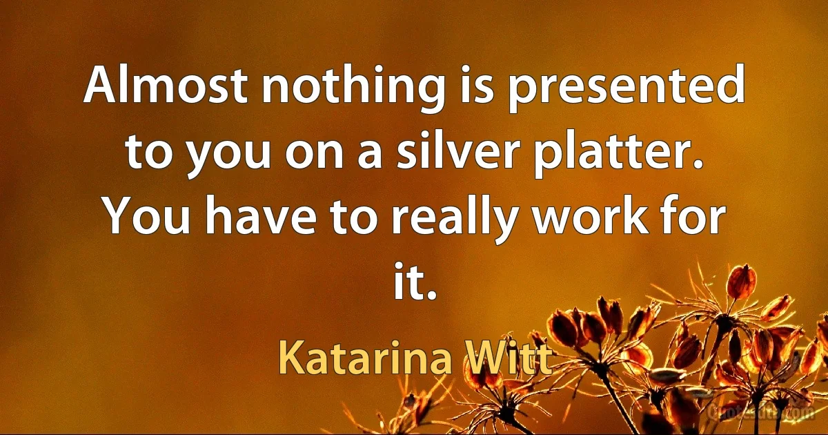 Almost nothing is presented to you on a silver platter. You have to really work for it. (Katarina Witt)