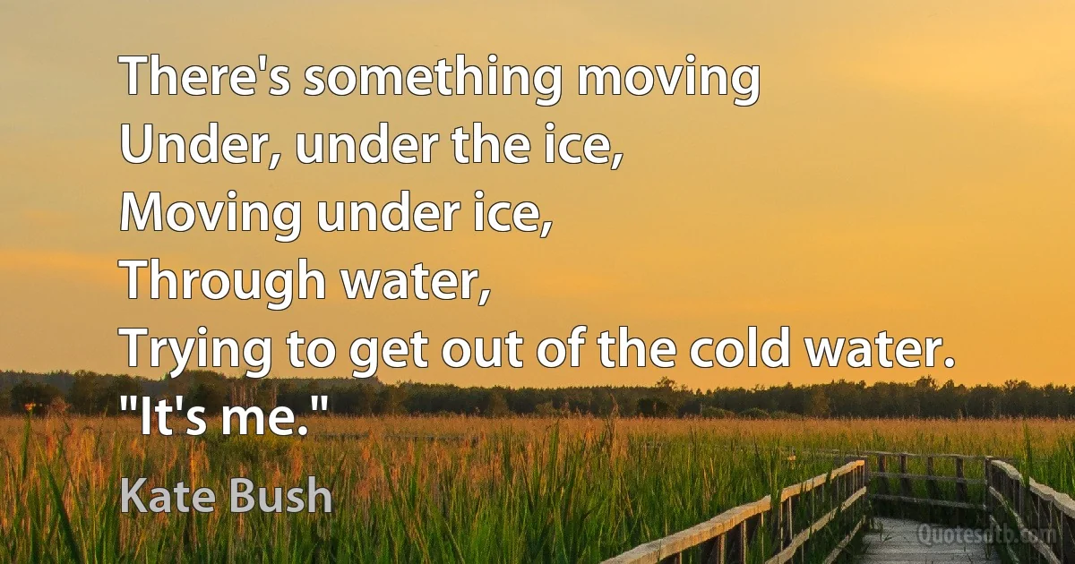 There's something moving
Under, under the ice,
Moving under ice,
Through water,
Trying to get out of the cold water.
"It's me." (Kate Bush)