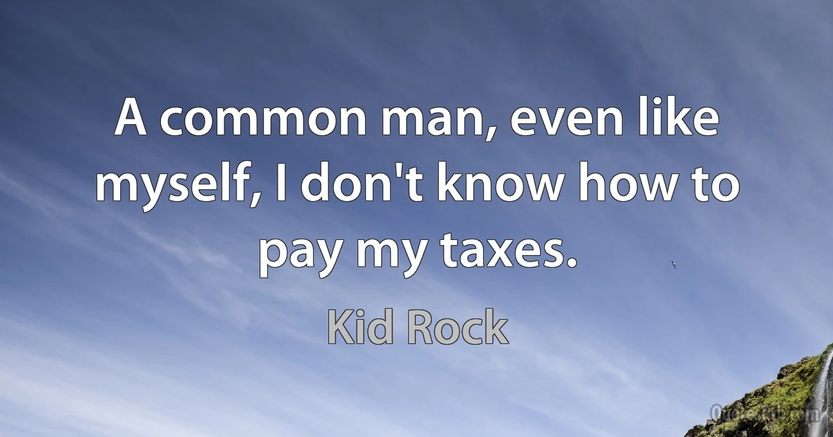 A common man, even like myself, I don't know how to pay my taxes. (Kid Rock)