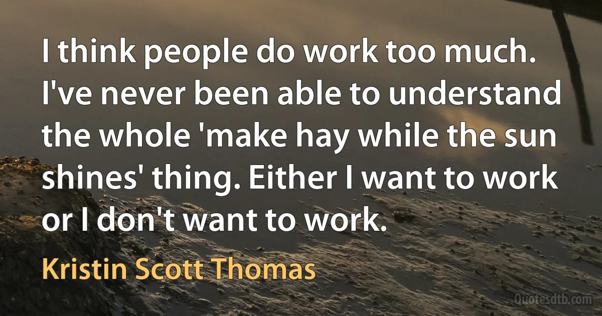 I think people do work too much. I've never been able to understand the whole 'make hay while the sun shines' thing. Either I want to work or I don't want to work. (Kristin Scott Thomas)