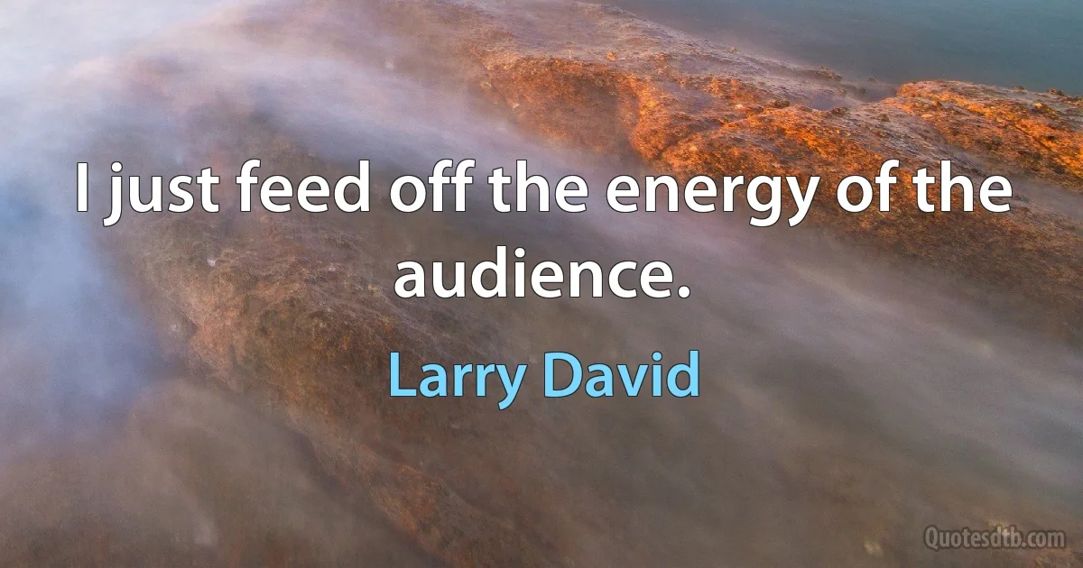 I just feed off the energy of the audience. (Larry David)