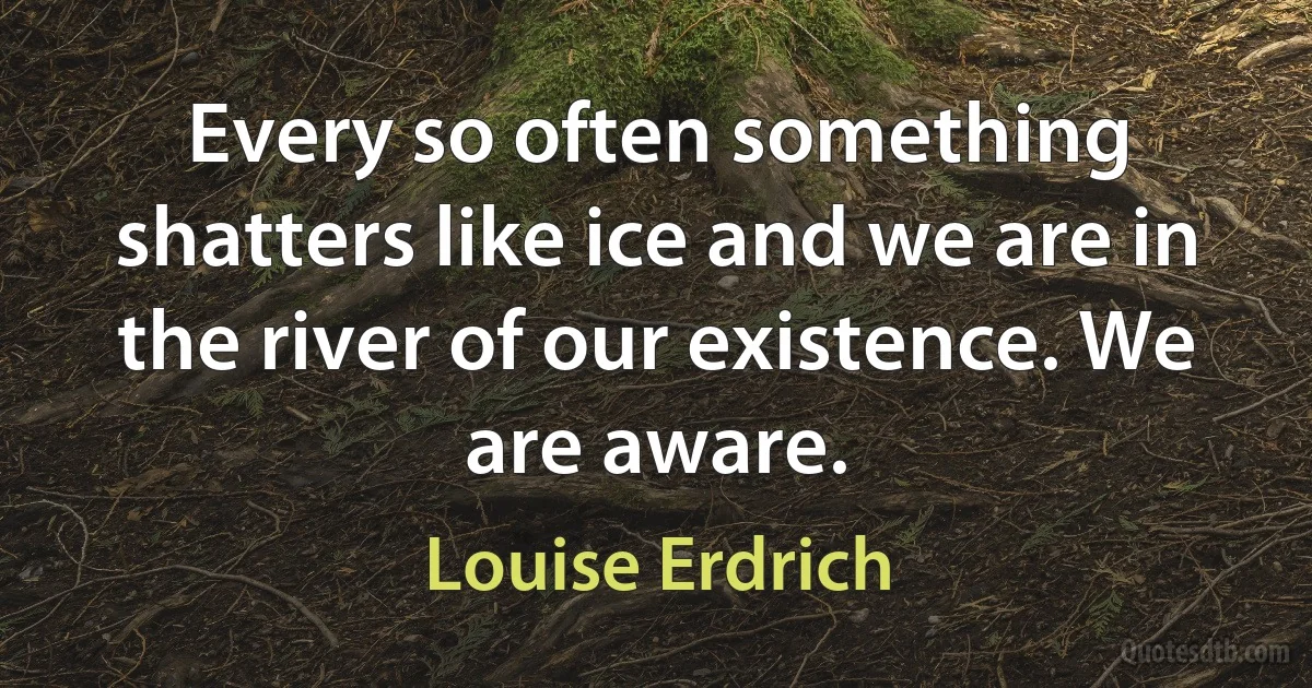 Every so often something shatters like ice and we are in the river of our existence. We are aware. (Louise Erdrich)