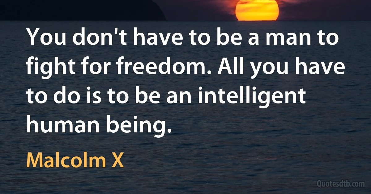 You don't have to be a man to fight for freedom. All you have to do is to be an intelligent human being. (Malcolm X)