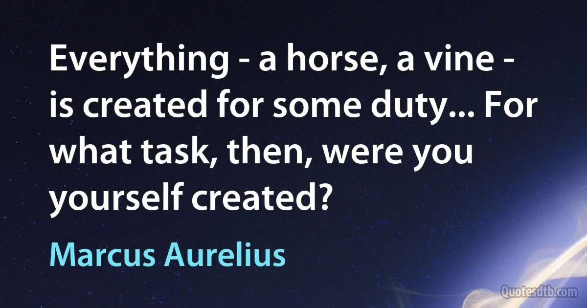 Everything - a horse, a vine - is created for some duty... For what task, then, were you yourself created? (Marcus Aurelius)