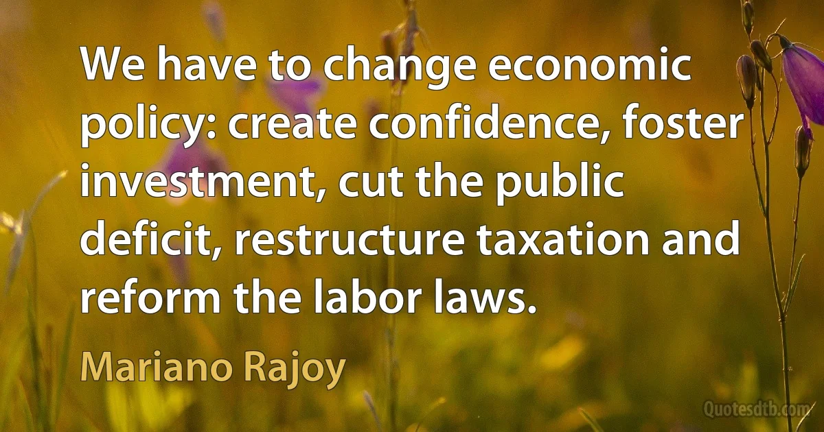 We have to change economic policy: create confidence, foster investment, cut the public deficit, restructure taxation and reform the labor laws. (Mariano Rajoy)